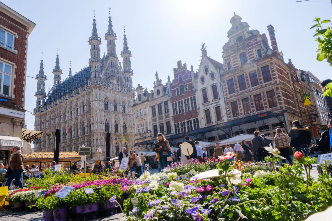 Descubre Lovaina: un tesoro histórico en el corazón de Bélgica