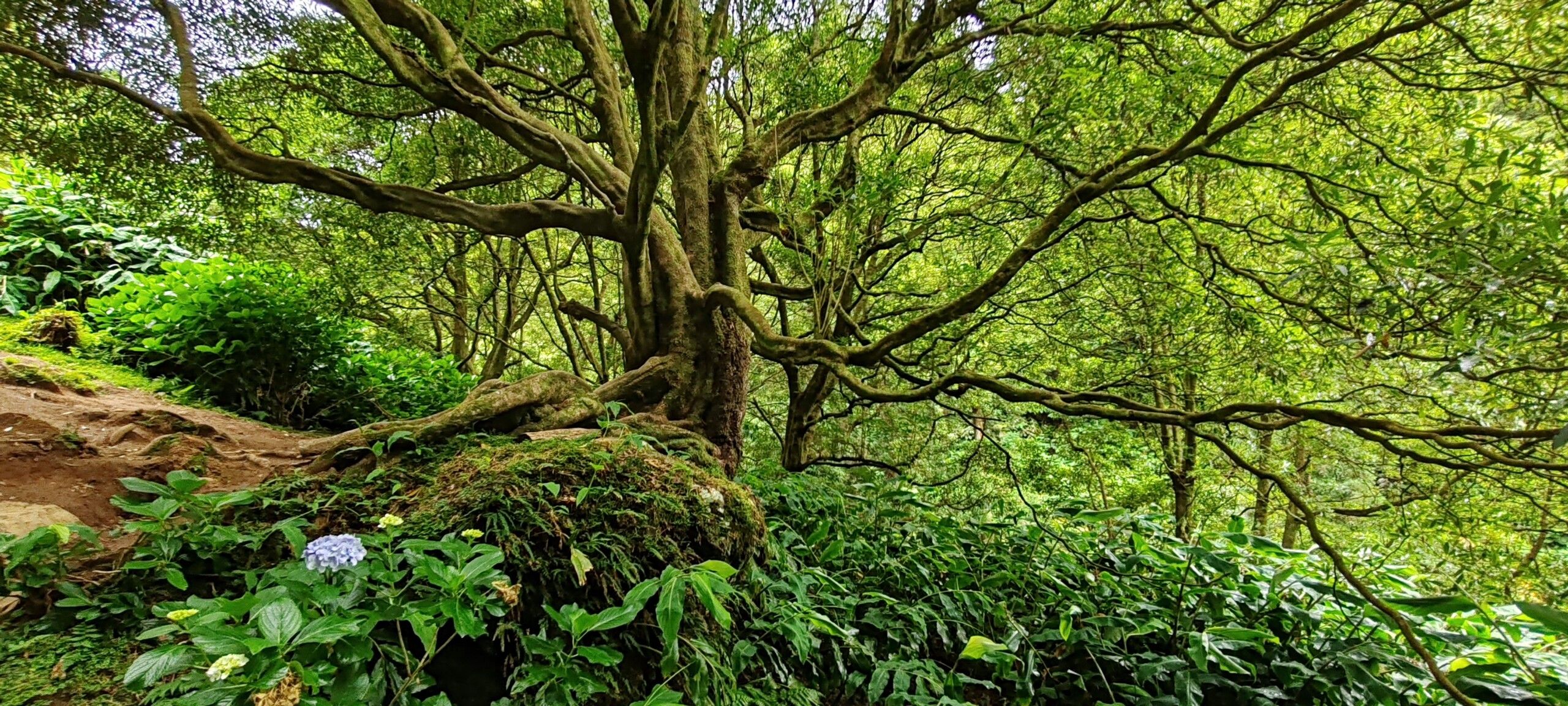 senderos azores
