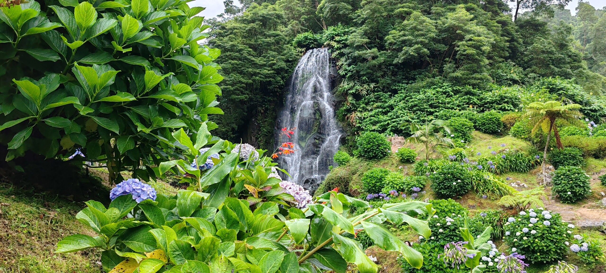 Guía completa para visitar la Ilha de São Miguel en Açores