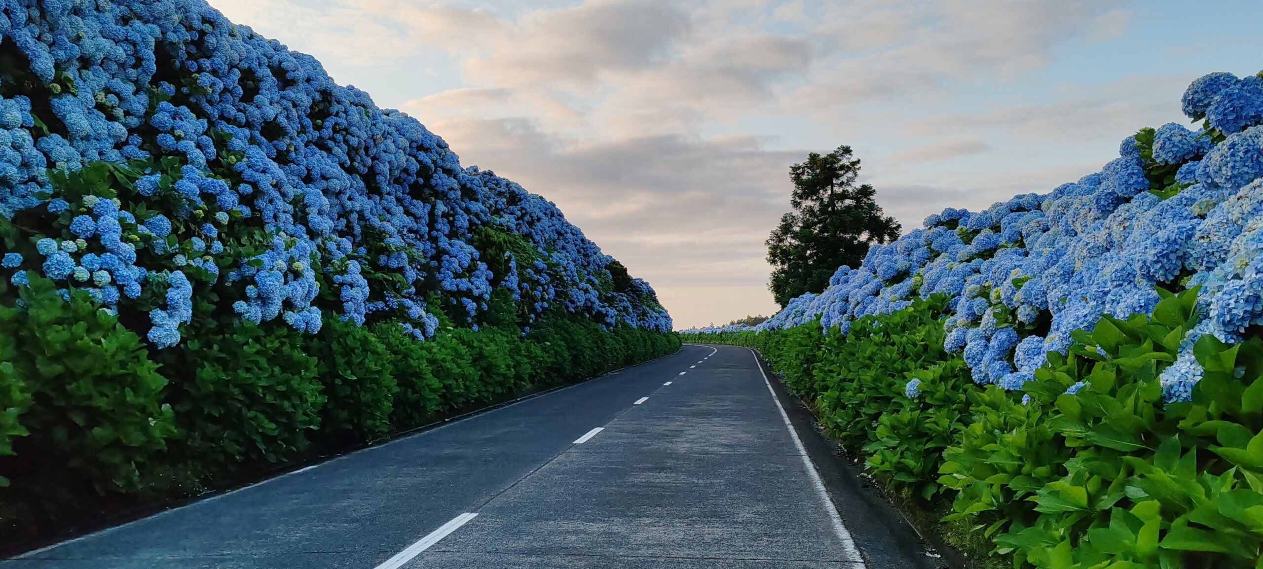 azores