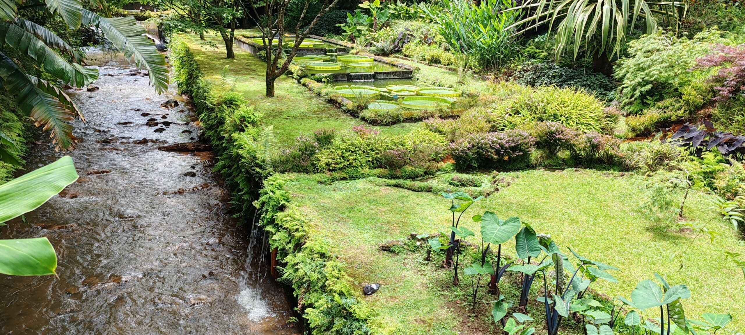 Guía completa para visitar la Ilha de São Miguel en Açores