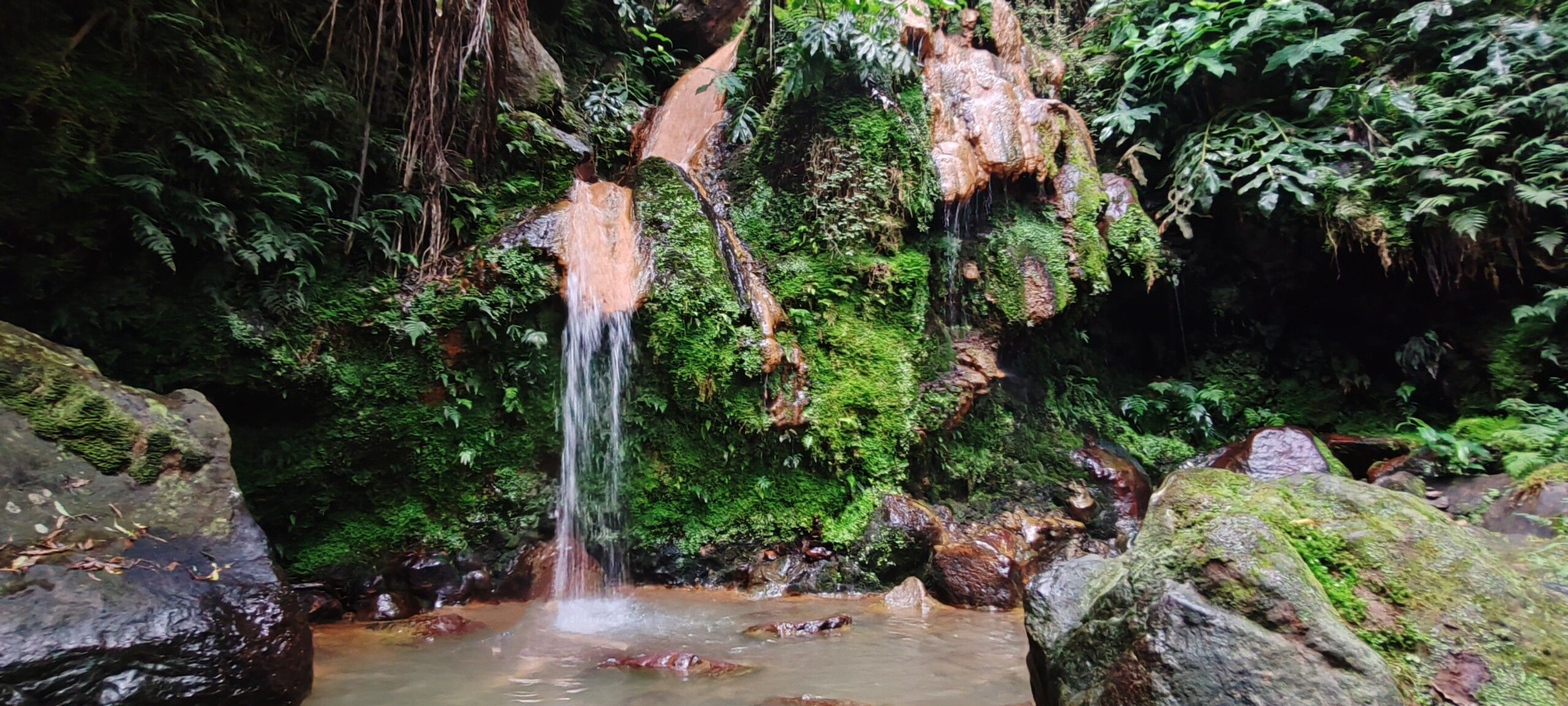 Guía completa para visitar la Ilha de São Miguel en Açores