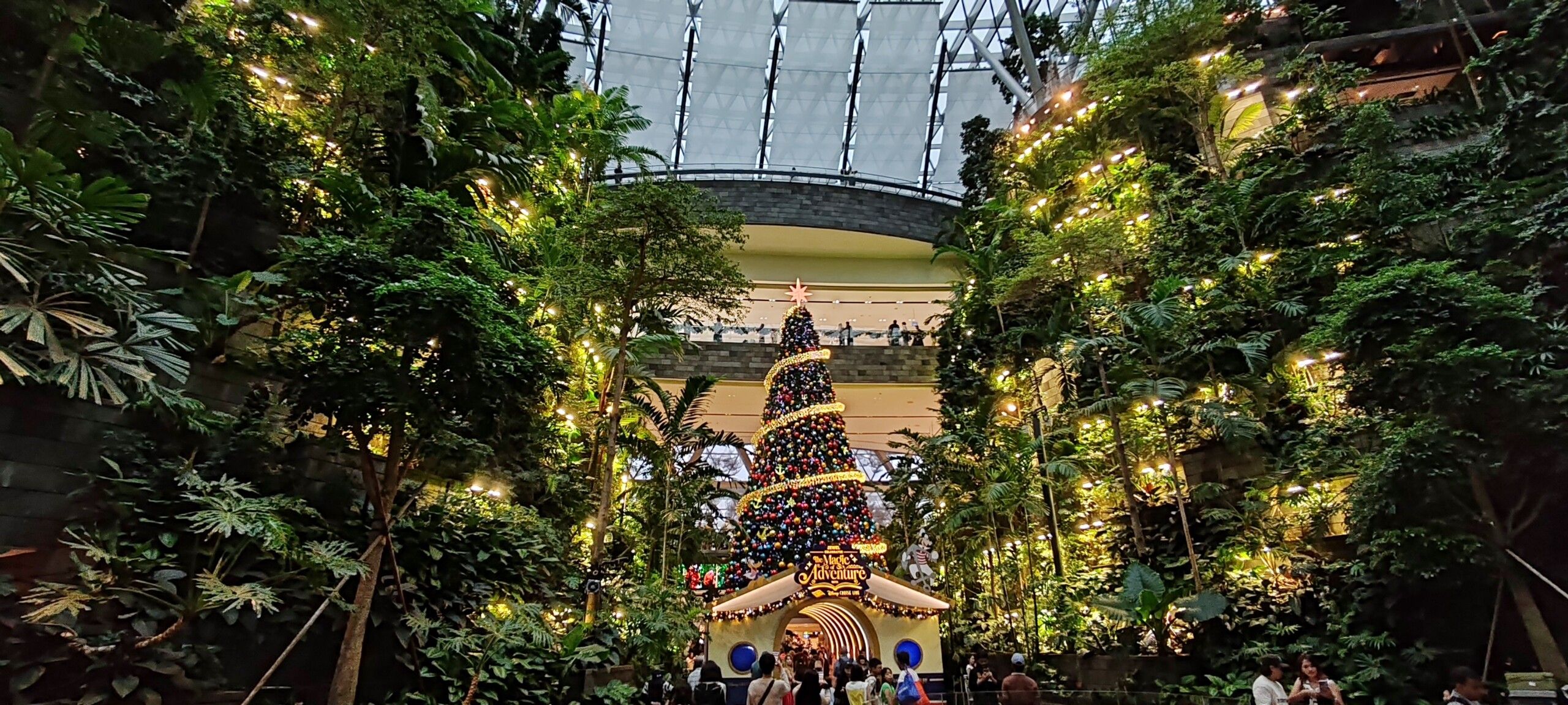 navidad